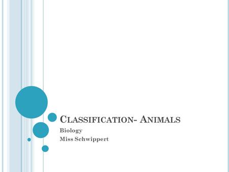 C LASSIFICATION - A NIMALS Biology Miss Schwippert.