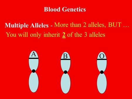 Blood Genetics Multiple Alleles - More than 2 alleles, BUT … A BO You will only inherit 2 of the 3 alleles.