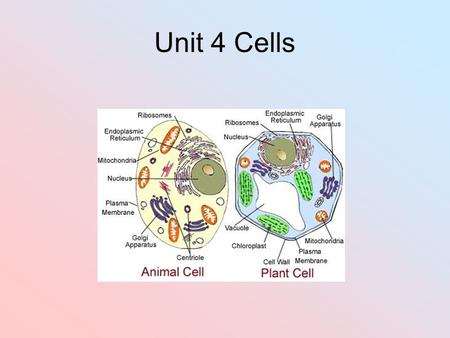 Unit 4 Cells. 1. What is the term that only some things come in and out and what cell part has this function? Selectively or Semi permeable Cell membrane.
