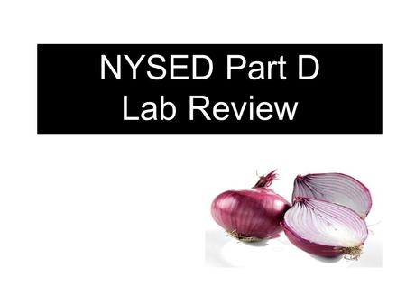 NYSED Part D Lab Review.