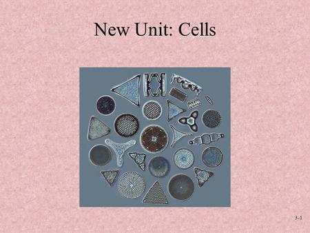 3-1 New Unit: Cells. 3-2 3-3 3-4 3-5 3-6 3-7.
