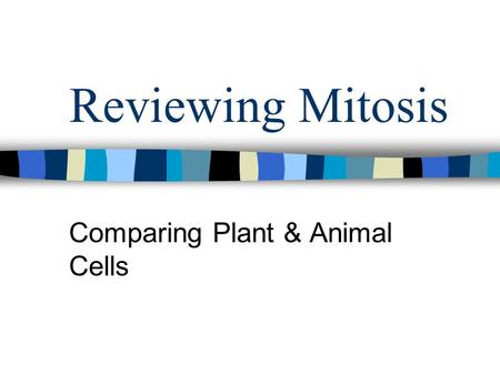 Reviewing Mitosis Comparing Plant & Animal Cells.