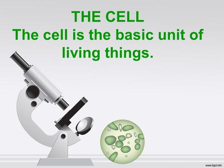 THE CELL The cell is the basic unit of living things.