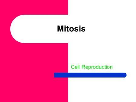 Mitosis Cell Reproduction. HOW DOES AN ORGANISM GROW?