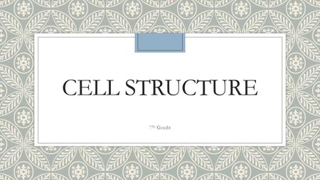 CELL STRUCTURE 7 th Grade. Do Now… ◦Define organelles, nucleus, chloroplasts, and mitochondria on index cards ◦Vocabulary Check will be tomorrow.