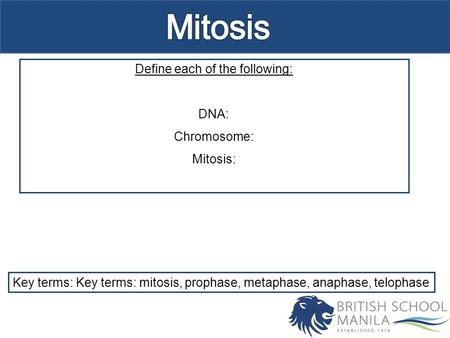 Define each of the following: DNA: Chromosome: Mitosis: Key terms: Key terms: mitosis, prophase, metaphase, anaphase, telophase.