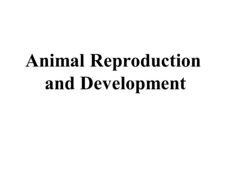 Animal Reproduction and Development. Reproductive Modes A) Asexual Reproduction Examples: Binary Fission, Budding, Mitosis one organism creates a genetically.