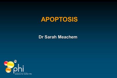 APOPTOSIS Dr Sarah Meachem. Intentions of this talk Define apoptosisDefine apoptosis terminology, methods to detect Define necrosisDefine necrosisterminology.