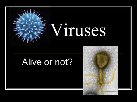 Viruses Alive or not?.