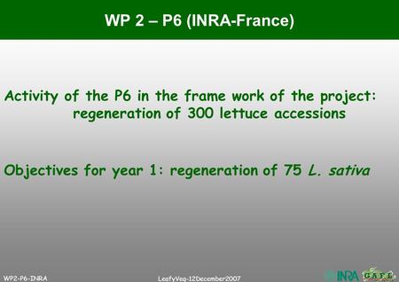 WP2-P6-INRA LeafyVeg-12December2007 Activity of the P6 in the frame work of the project: regeneration of 300 lettuce accessions WP 2 – P6 (INRA-France)
