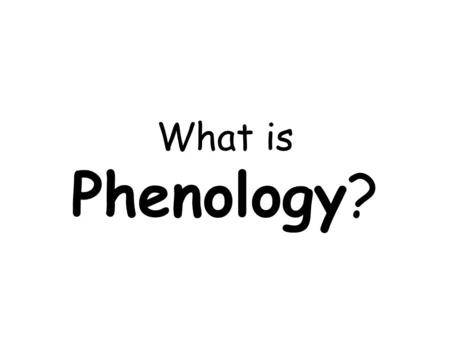 What is Phenology?. Phenology is the study of the timing of plant and animal life cycle events. Nest Building Leaf Out Flowers Blooming MigrationEmergence.