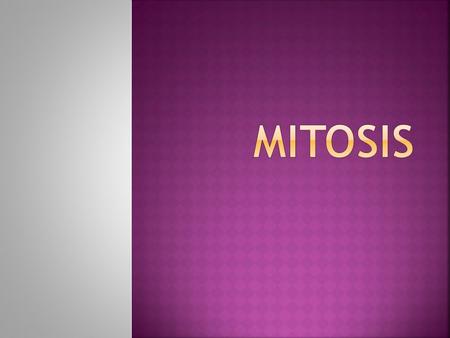  Mitosis is the division of the nucleus, resulting in the formation of ____________.