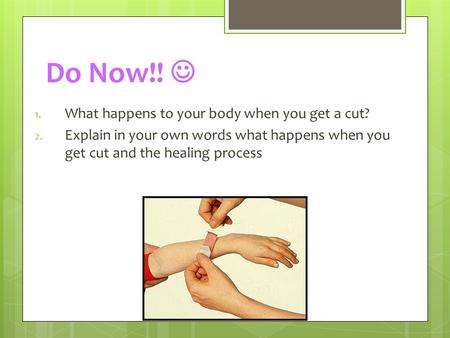 Do Now!! 1. What happens to your body when you get a cut? 2. Explain in your own words what happens when you get cut and the healing process.
