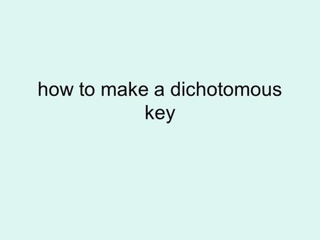 how to make a dichotomous key