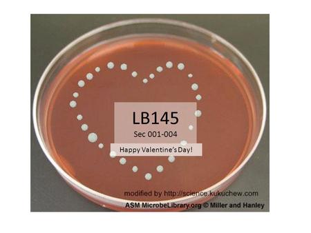 LB145 Sec 001-004 Happy Valentine’s Day!. Today’s Announcements StudyNotes5 AND Homework4 are due on Tuesday Feb 19 th. **Download HW VERSION 2.0** Field.