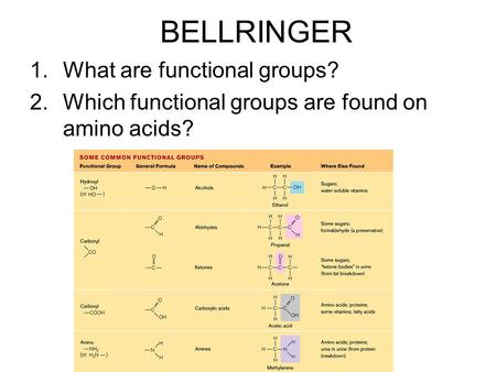 BELLRINGER 1.What are functional groups? 2.Which functional groups are found on amino acids?