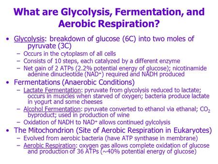 What are Glycolysis, Fermentation, and Aerobic Respiration? Glycolysis: breakdown of glucose (6C) into two moles of pyruvate (3C) –Occurs in the cytoplasm.