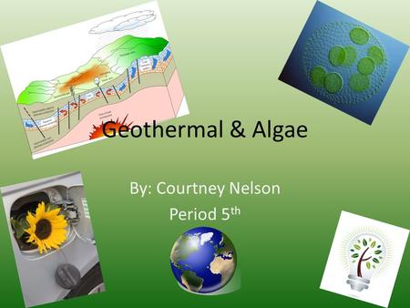 Geothermal & Algae By: Courtney Nelson Period 5 th.