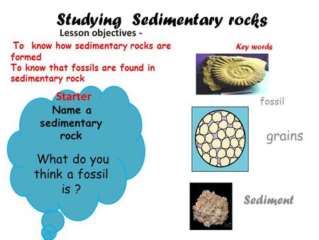 Studying Sedimentary rocks Key words fosils fossil grains Sediment Lesson objectives - To know how sedimentary rocks are formed To know that fossils are.