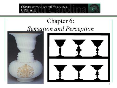 Chapter 6: Sensation and Perception 1. Some Definitions: Sensation - process used by sense receptors to receive and store information from environment.