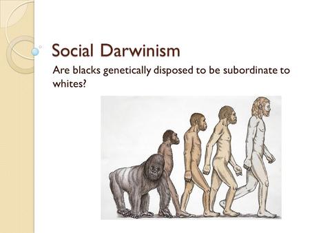 Social Darwinism Are blacks genetically disposed to be subordinate to whites?