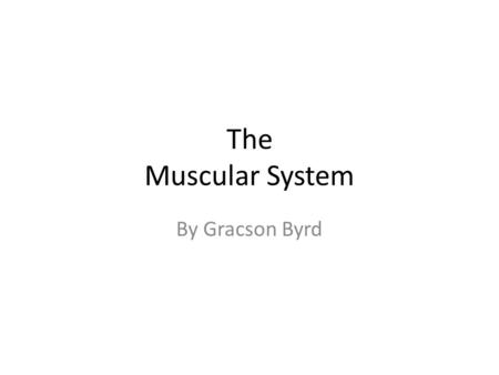 The Muscular System By Gracson Byrd. Organs Tendons Ligaments Skeletal muscles Smooth muscles Cardiac muscles.