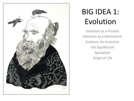 BIG IDEA 1: Evolution Evolution as a Process Selection as a Mechanism Evidence for Evolution HW Equilibrium Speciation Origin of Life.