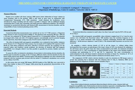 MRI SIMULATION FOR CONFORMAL RADIATION THERAPY OF PROSTATE CANCER Pasquier D 1-3, Palos G 3, Castelain B 1, Lartigau E 1,2, Rousseau J 2,3 1 Department.