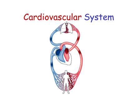 Cardiovascular System.  A closed system of the heart and blood vessels  The function of the cardiovascular system is to deliver oxygen and nutrients.