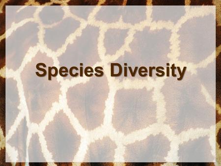 Species Diversity. Classification In order to understand how diverse this world is we as humans needed to group up all the organisms on earth. Classification.