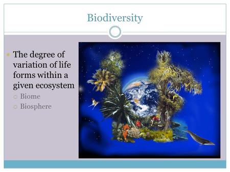 Biodiversity The degree of variation of life forms within a given ecosystem  Biome  Biosphere.