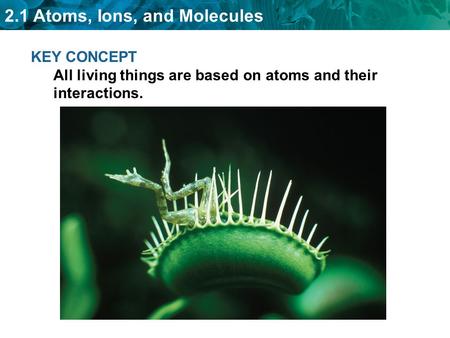 2.1 Atoms, Ions, and Molecules KEY CONCEPT All living things are based on atoms and their interactions.