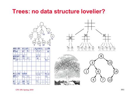CPS 100, Spring 2010 10.1 Trees: no data structure lovelier?