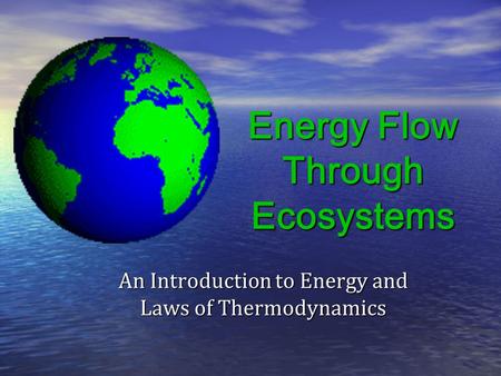 Energy Flow Through Ecosystems
