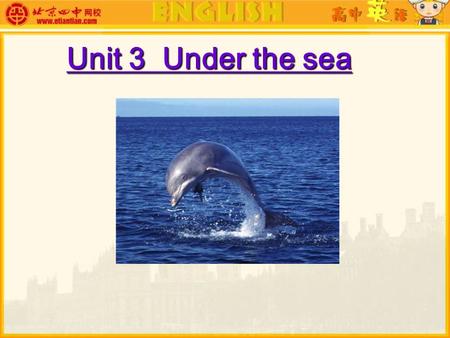 Unit 3 Under the sea. Now, we are on a snorkeling trip under the sea. Later, we’ll come across a great variety of marine [m ə 'ri:n]animals. Guess what.