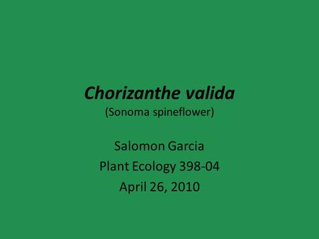 Chorizanthe valida (Sonoma spineflower) Salomon Garcia Plant Ecology 398-04 April 26, 2010.