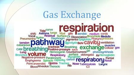 Gas Exchange.