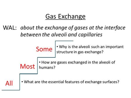 Gas Exchange about the exchange of gases at the interface between the alveoli and capillaries WAL: All Most Some What are the essential features of exchange.
