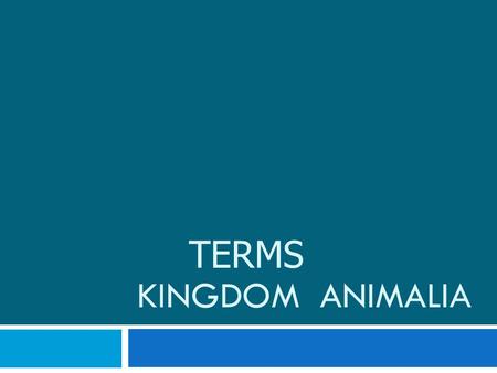 KINGDOM ANIMALIA TERMS. Symmetry  Asymmetrical – no body symmetry  Ex: Sponges – have no true tissues  Radial – similar parts branch out in all directions.