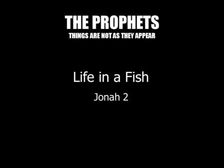 THE PROPHETS THINGS ARE NOT AS THEY APPEAR Life in a Fish Jonah 2.