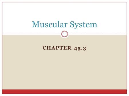 CHAPTER 45.3 Muscular System. Function = Allows body to move & provides force that pushes substances through out the body Voluntary vs. Involuntary: contractions.