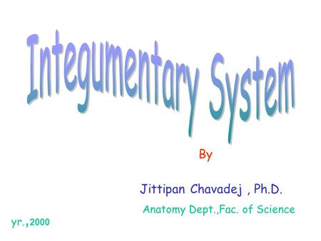 By Jittipan Chavadej, Ph.D. Anatomy Dept.,Fac. of Science yr., 2000.