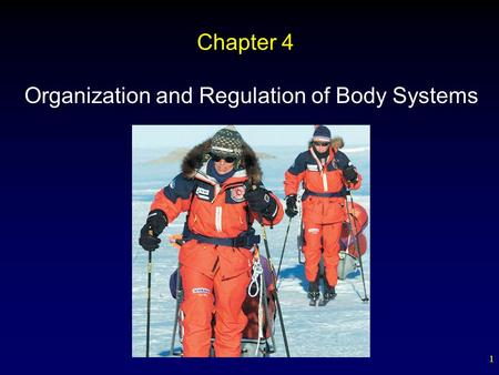 Organization and Regulation of Body Systems
