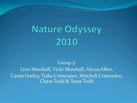 Group 3: Linn Marshall, Vicki Marshall, Alyssa Allen, Carrie Hatley, Tisha Crittenden, Mitchell Crittenden, Chase Todd & Tessa Todd.