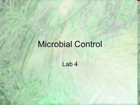Microbial Control Lab 4. Selective and Differential Media We have completed Isolation of bacteria using steak plate and spread plate This is a good beginning,
