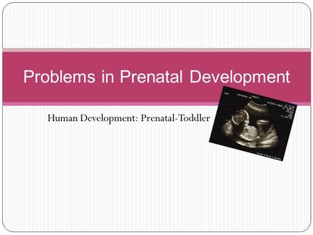 Human Development: Prenatal-Toddler Problems in Prenatal Development.