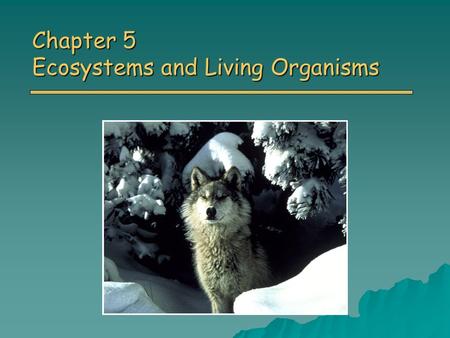 Chapter 5 Ecosystems and Living Organisms. Case Study: o Where did all the aspen trees go? o How did the park rangers/biologists work to find an answer.