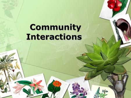 Community Interactions. Community interactions, such as competition, predation, and various forms of symbiosis, can powerfully affect an ecosystem.