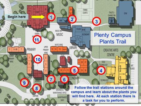 1 2 3 45 67 8 9 10 11 Plenty Campus Plants Trail Begin here Follow the trail stations around the campus and learn about the plants you will find here.