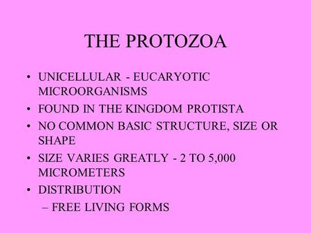 THE PROTOZOA UNICELLULAR - EUCARYOTIC MICROORGANISMS FOUND IN THE KINGDOM PROTISTA NO COMMON BASIC STRUCTURE, SIZE OR SHAPE SIZE VARIES GREATLY - 2 TO.